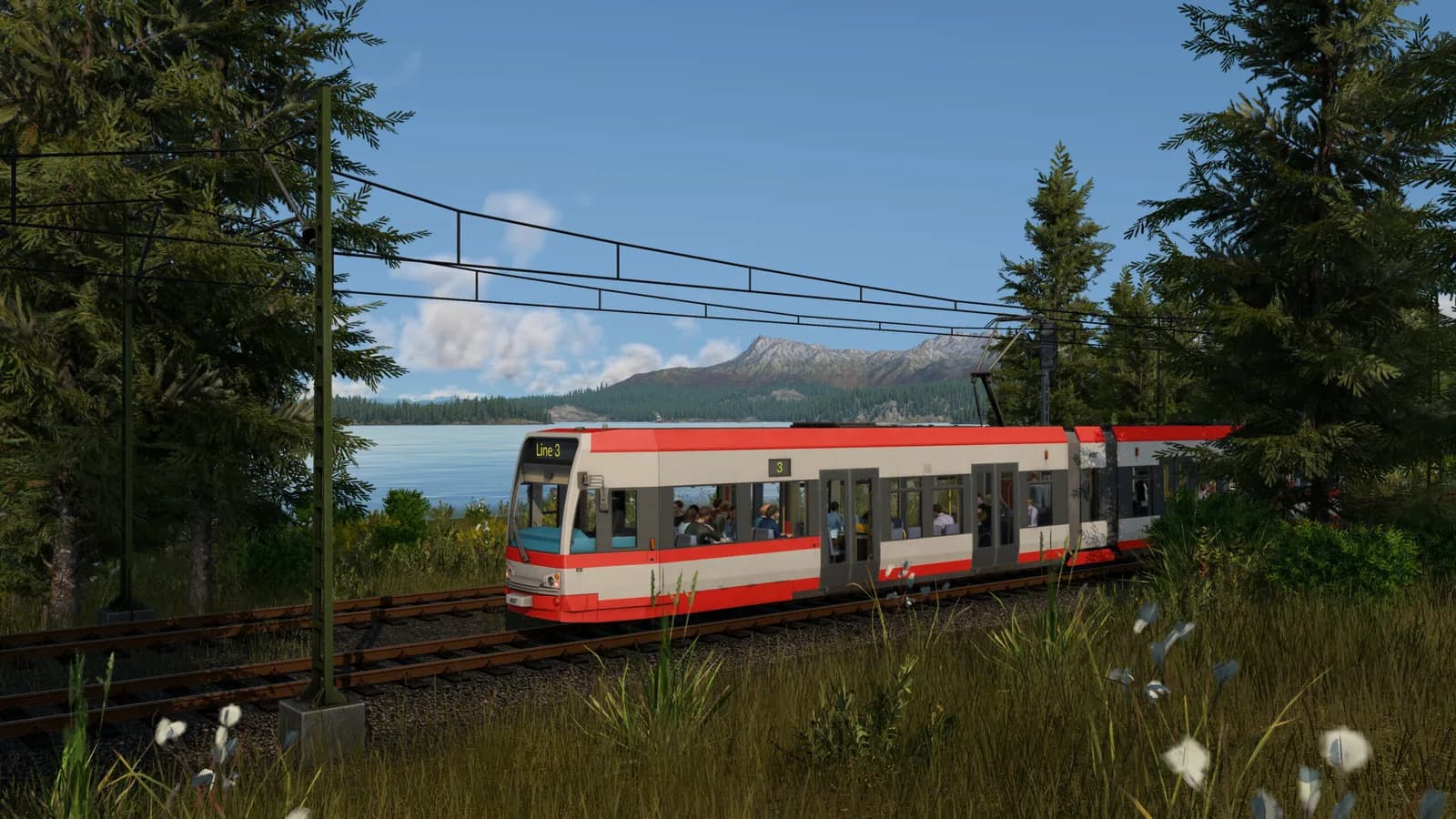Red passenger train through temperate forest