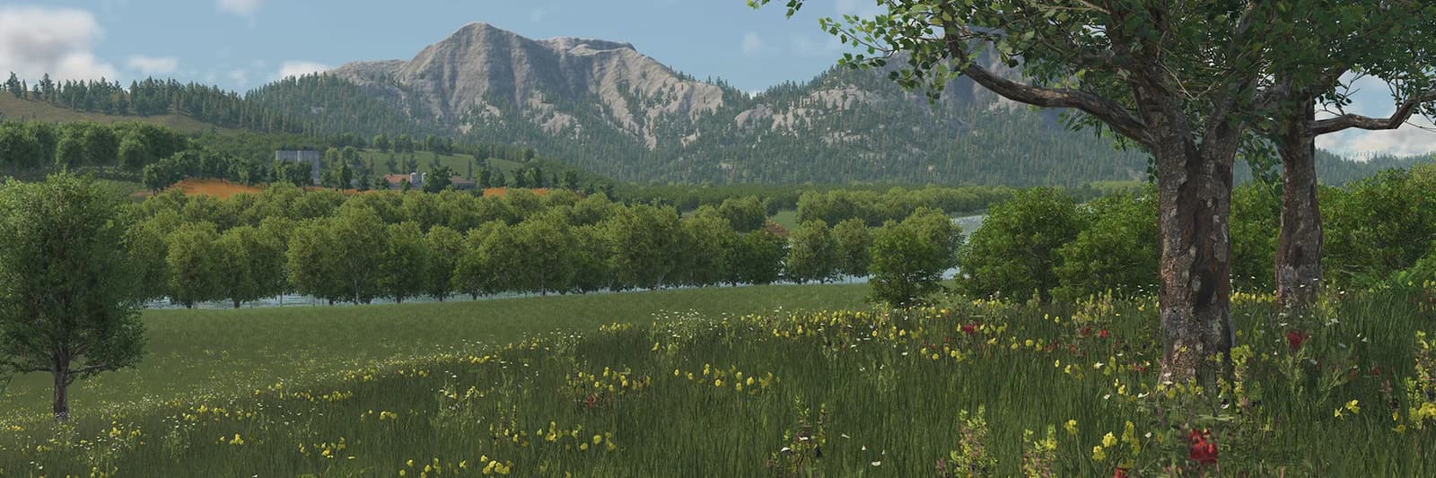 Temperate meadow, trees and mountain backdrop